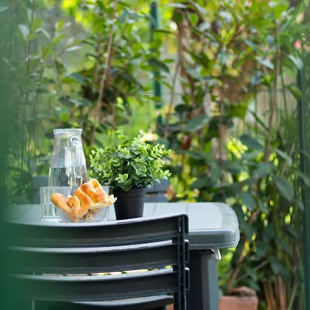 Cherry Tree House 렉코