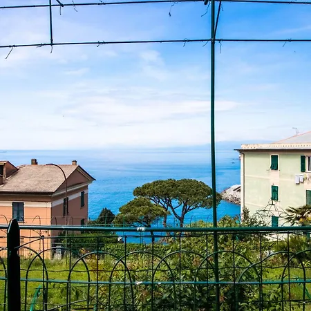 Cherry Tree House Recco