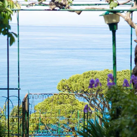 Apartamento Cherry Tree House