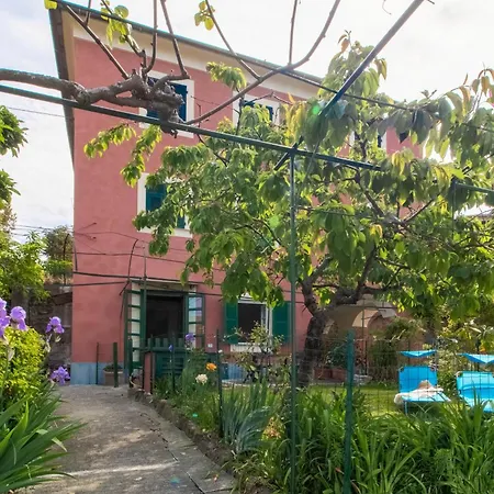 Cherry Tree House Recco