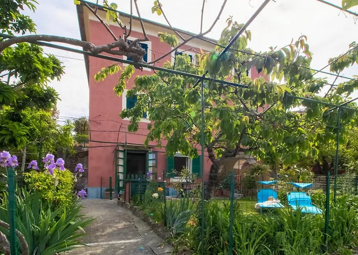 Cherry Tree House Recco